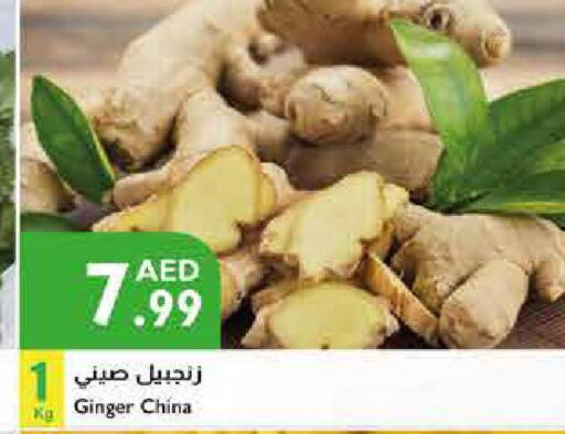  Ginger  in Istanbul Supermarket in UAE - Ras al Khaimah