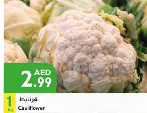  Cauliflower  in إسطنبول سوبرماركت in الإمارات العربية المتحدة , الامارات - أبو ظبي