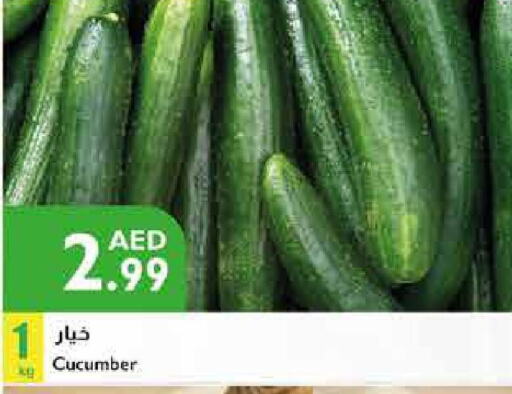  Cucumber  in Istanbul Supermarket in UAE - Ras al Khaimah