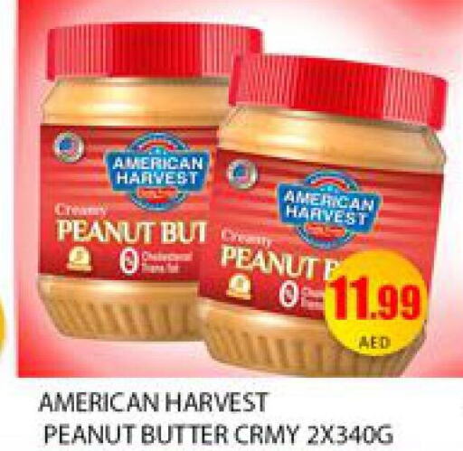  Peanut Butter  in Mango Hypermarket LLC in UAE - Dubai