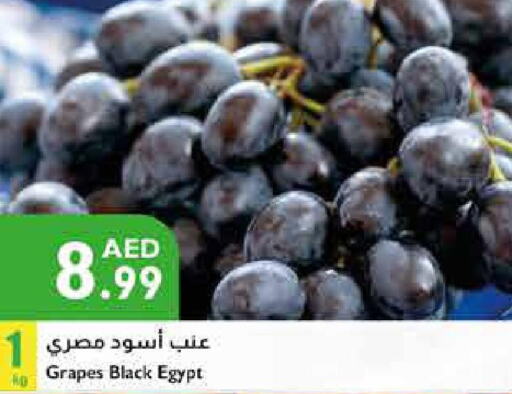  Grapes  in إسطنبول سوبرماركت in الإمارات العربية المتحدة , الامارات - ٱلْعَيْن‎