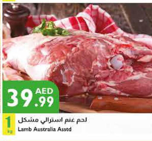  Mutton / Lamb  in إسطنبول سوبرماركت in الإمارات العربية المتحدة , الامارات - أبو ظبي