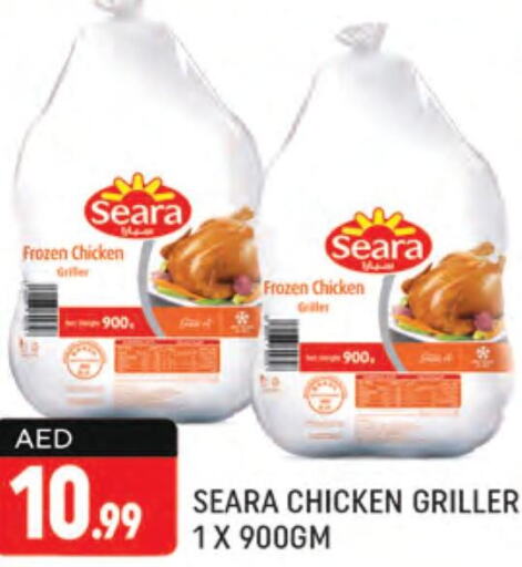 SEARA Frozen Whole Chicken  in شكلان ماركت in الإمارات العربية المتحدة , الامارات - دبي