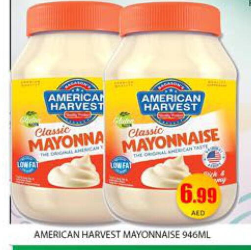 AMERICAN HARVEST Mayonnaise  in Mango Hypermarket LLC in UAE - Dubai