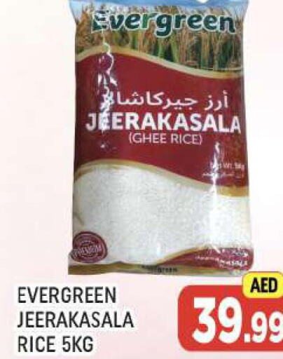  Jeerakasala Rice  in AL MADINA (Dubai) in UAE - Dubai