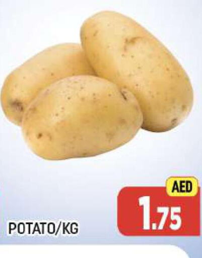  Potato  in المدينة in الإمارات العربية المتحدة , الامارات - دبي