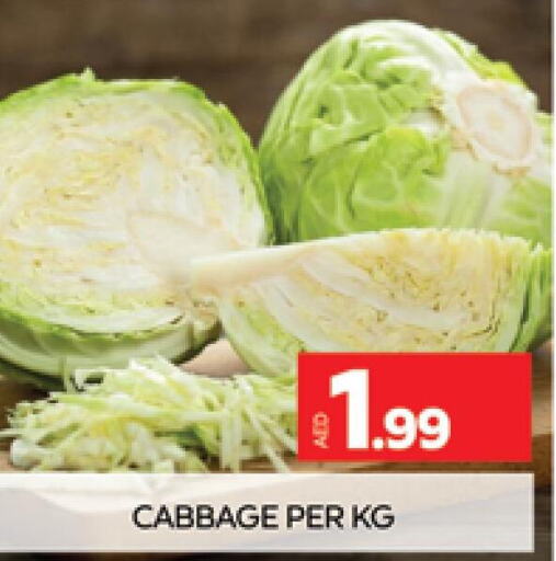  Cabbage  in المدينة in الإمارات العربية المتحدة , الامارات - دبي