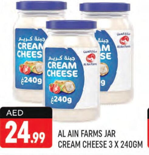 AL AIN Cream Cheese  in Shaklan  in UAE - Dubai