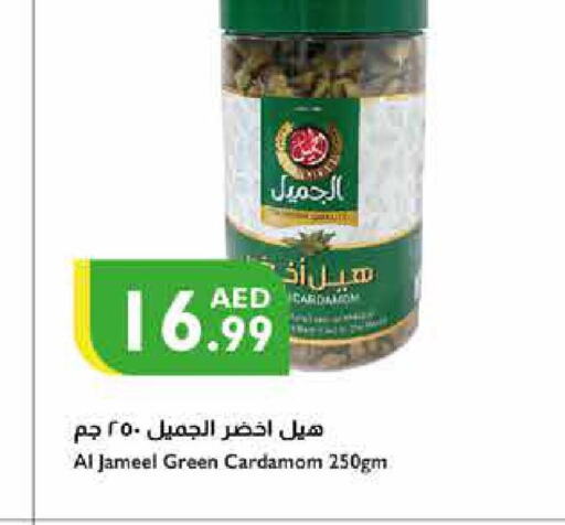  Dried Herbs  in Istanbul Supermarket in UAE - Ras al Khaimah