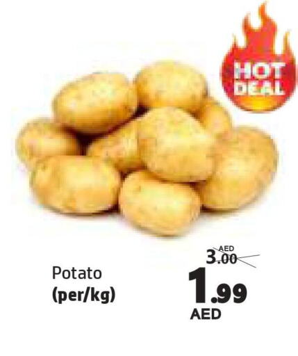  Potato  in الحوت  in الإمارات العربية المتحدة , الامارات - الشارقة / عجمان