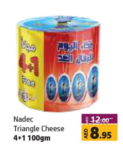 NADEC Triangle Cheese  in Al Hooth in UAE - Sharjah / Ajman