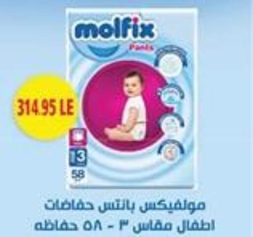 MOLFIX   in Zaher Dairy in Egypt - Cairo