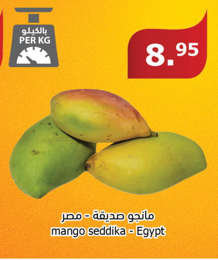  Mangoes  in الراية in مملكة العربية السعودية, السعودية, سعودية - المدينة المنورة