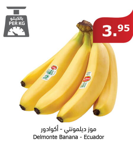  Banana  in Al Raya in KSA, Saudi Arabia, Saudi - Najran