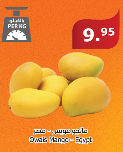  Mangoes  in Al Raya in KSA, Saudi Arabia, Saudi - Jeddah