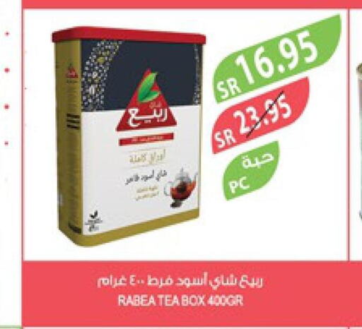 RABEA Tea Powder  in Farm  in KSA, Saudi Arabia, Saudi - Al Hasa