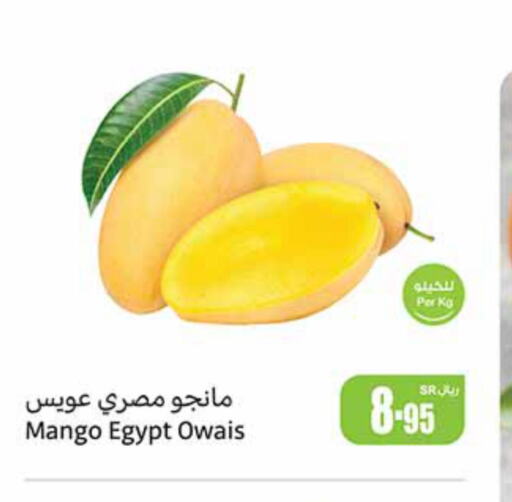  Mangoes  in Othaim Markets in KSA, Saudi Arabia, Saudi - Jeddah