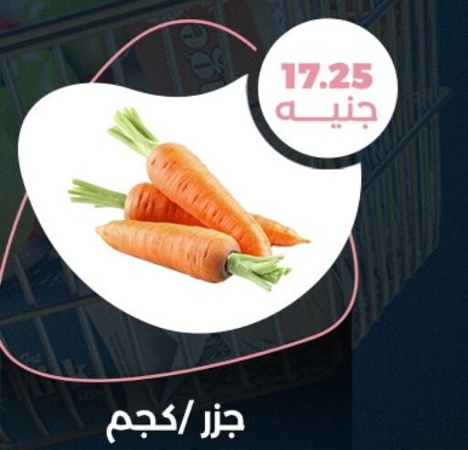  Carrot  in فلامنجو هايبرماركت in Egypt - القاهرة