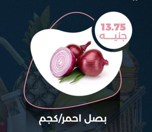  Onion  in فلامنجو هايبرماركت in Egypt - القاهرة