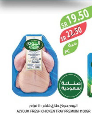 AL YOUM Fresh Chicken  in Farm  in KSA, Saudi Arabia, Saudi - Al-Kharj