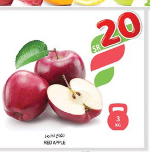  Apples  in المزرعة in مملكة العربية السعودية, السعودية, سعودية - الخرج