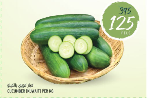  Cucumber  in أونكوست in الكويت - محافظة الأحمدي