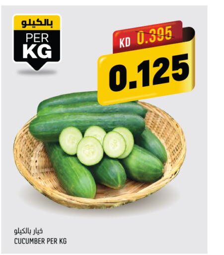  Cucumber  in Oncost in Kuwait - Ahmadi Governorate