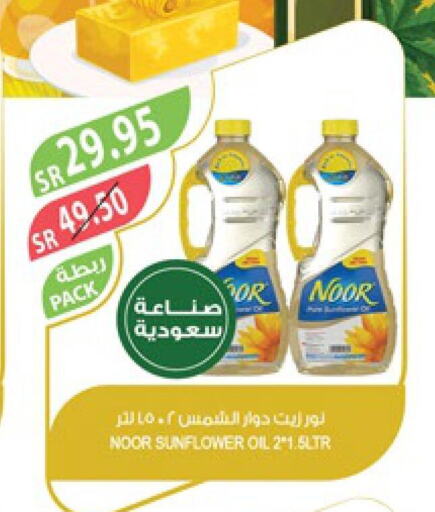 NOOR Sunflower Oil  in Farm  in KSA, Saudi Arabia, Saudi - Al-Kharj