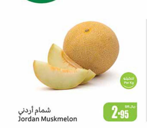  Sweet melon  in Othaim Markets in KSA, Saudi Arabia, Saudi - Riyadh