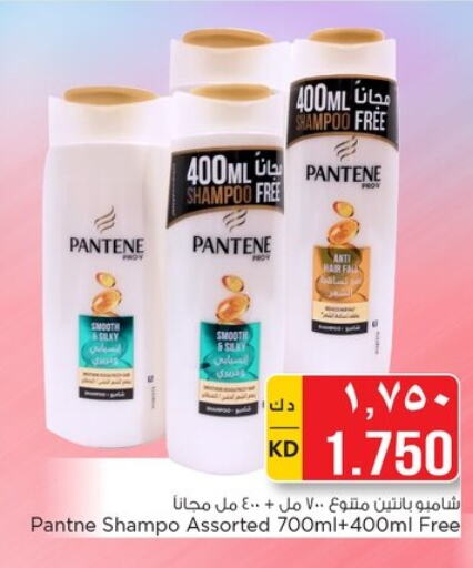 PANTENE Shampoo / Conditioner  in نستو هايبر ماركت in الكويت - مدينة الكويت