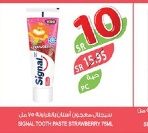 SIGNAL Toothpaste  in Farm  in KSA, Saudi Arabia, Saudi - Khafji