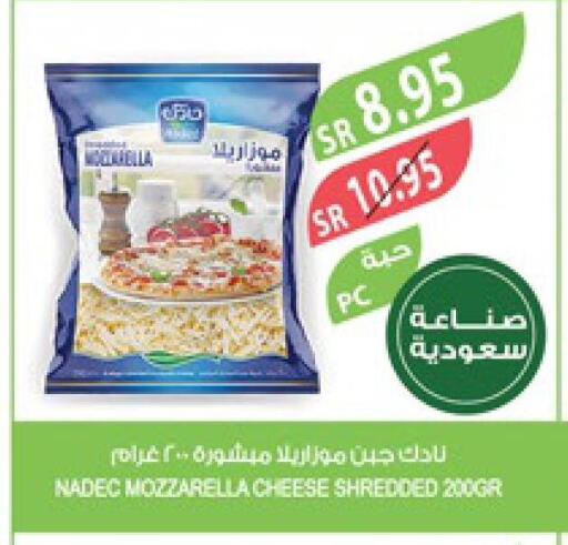 NADEC Mozzarella  in المزرعة in مملكة العربية السعودية, السعودية, سعودية - تبوك