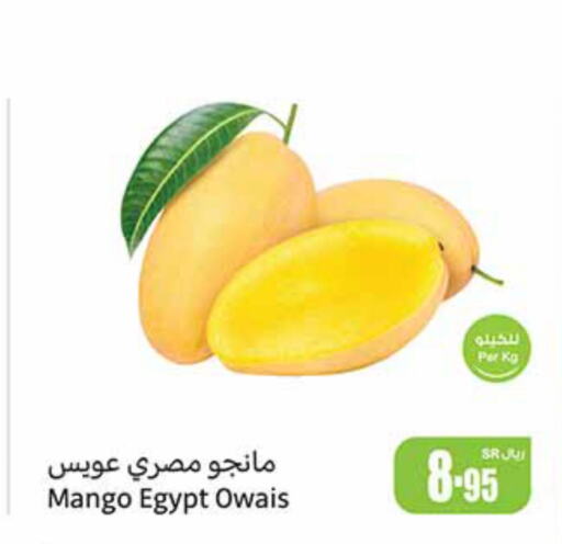  Mangoes  in Othaim Markets in KSA, Saudi Arabia, Saudi - Riyadh