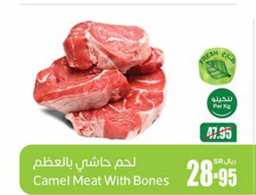  Camel meat  in أسواق عبد الله العثيم in مملكة العربية السعودية, السعودية, سعودية - الزلفي