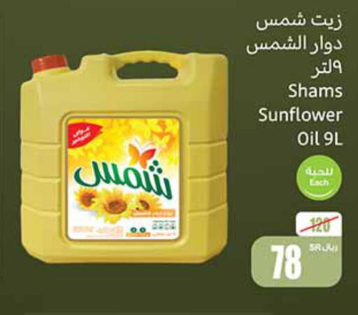 SHAMS Sunflower Oil  in Othaim Markets in KSA, Saudi Arabia, Saudi - Arar