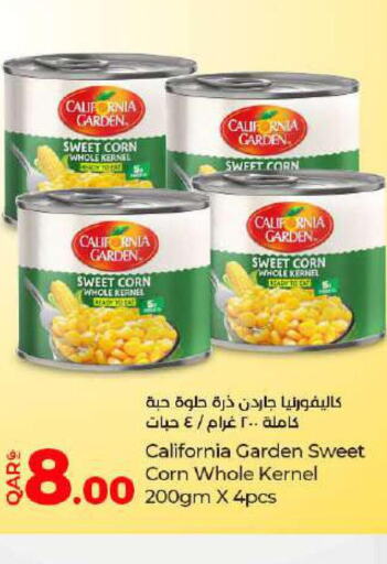 CALIFORNIA GARDEN   in LuLu Hypermarket in Qatar - Al Wakra