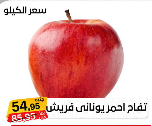  Apples  in بيت الجملة in Egypt - القاهرة