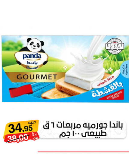 PANDA   in بيت الجملة in Egypt - القاهرة