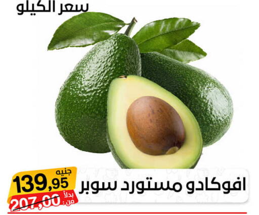  Avacado  in بيت الجملة in Egypt - القاهرة