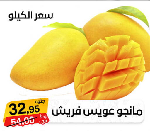  Mangoes  in بيت الجملة in Egypt - القاهرة