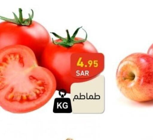  Tomato  in Aswaq Ramez in KSA, Saudi Arabia, Saudi - Riyadh