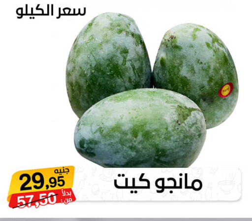  Mangoes  in بيت الجملة in Egypt - القاهرة
