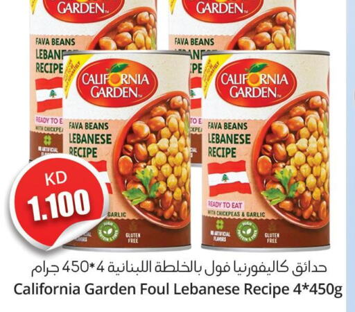 CALIFORNIA GARDEN Fava Beans  in 4 SaveMart in Kuwait - Kuwait City