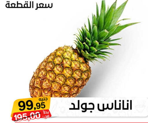  Pineapple  in بيت الجملة in Egypt - القاهرة