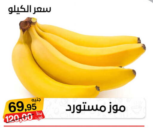 Banana  in بيت الجملة in Egypt - القاهرة