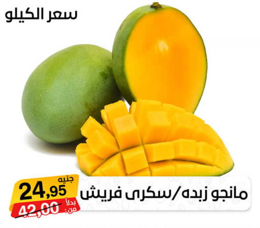  Mangoes  in بيت الجملة in Egypt - القاهرة