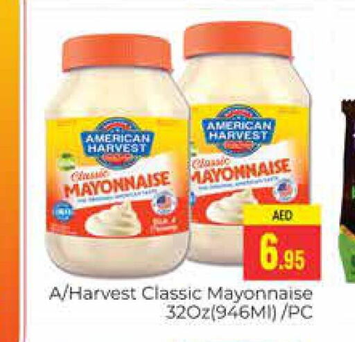 AMERICAN CLASSIC Mayonnaise  in PASONS GROUP in UAE - Dubai