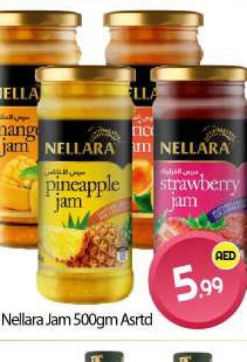 NELLARA Jam  in BIGmart in UAE - Dubai