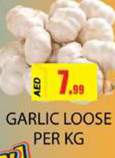 Garlic