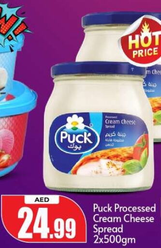 PUCK Cream Cheese  in BIGmart in UAE - Abu Dhabi